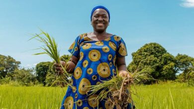 Nestlé Partners With Africa Food Prize To Strengthen Food Security And Climate Change Resilience