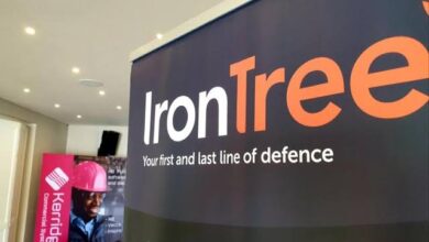 How IronTree Seeks To Provide World Class IT Services