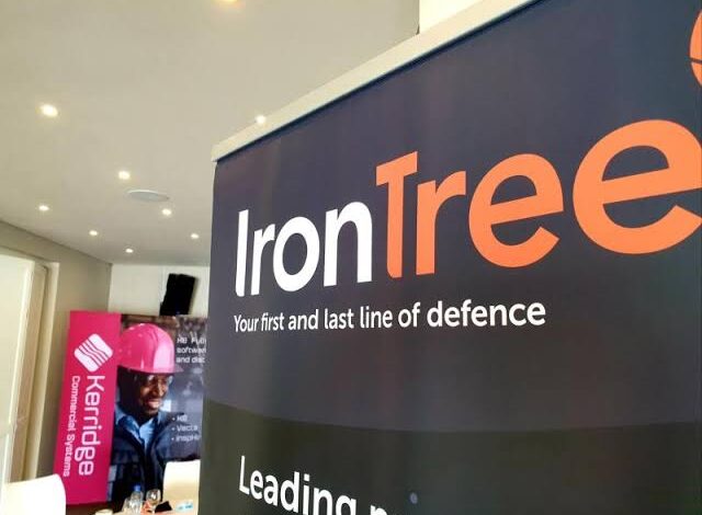 How IronTree Seeks To Provide World Class IT Services