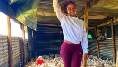 South African Actress Zikhona Bali Announces Her Farming Business Venture