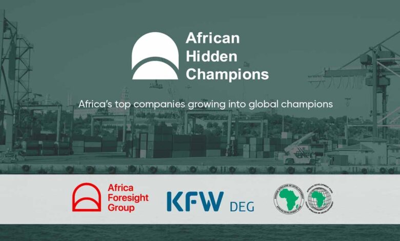 African Development Bank Partners With African Hidden Champions Initiative Of AFG And DEG