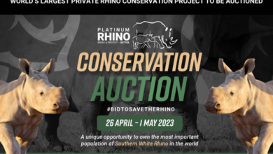 World’s Largest Private Rhino Conservation Project To Be Auctioned