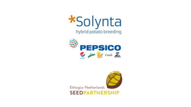 Solynta And PepsiCo Partner To Bring Hybrid Potato Seeds To Ethiopian Farmers