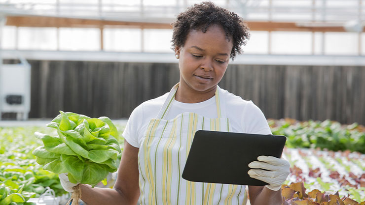 Microsoft And OCP Africa Partner To Sustain And Grow Food Security In Africa