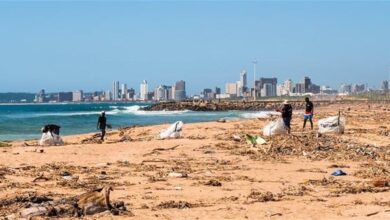 Bata SA Backs The Litterboom Project's Beach Clean-Ups