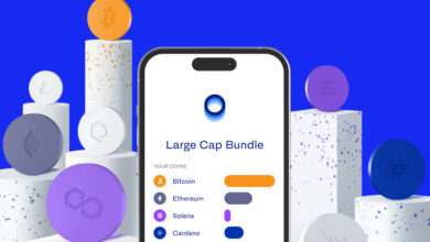 Crypto Exchange Luno Launches The Luno Large Cap Bundle For South African Investors