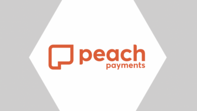 Apis Partners Leads €29m (US$31m) Series A Funding For South African Fintech, Peach Payments