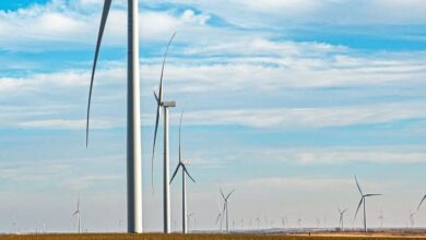 JUWI Reports High Demand For Large Renewables With Financial Close Of 84 MW Wolf Wind Project In South Africa