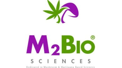 M2Bio Sciences Establishes Research Chair At The University Of Pretoria For Phytomedicines