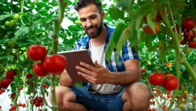 How to start a Online platform for local farmers markets in South Africa