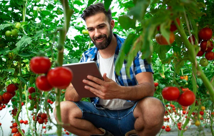 How to start a Online platform for local farmers markets in South Africa