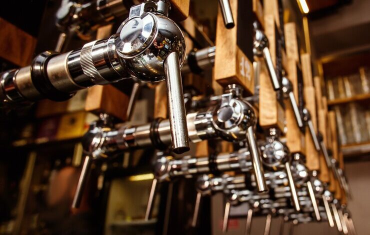 craft beer business plan south africa