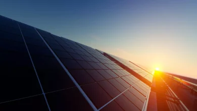 Soly Joins South African Photovoltaic Industry Association (SAPVIA)