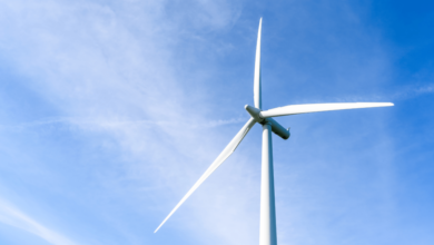 BII Expands Capital Solution In Support Of Wind Power Generation In South Africa