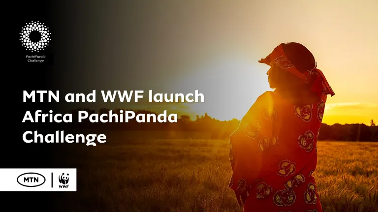 MTN And WWF Announce African PachiPanda Challenge