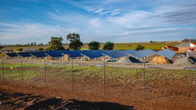 Vesconite Bearings Invests In A Comprehensive Solar Energy Solution At Its Free State Factory