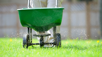 How Greenfields Lawn Services Seeks To Provide Premier Lawn Maintenance Services