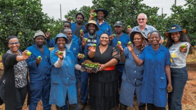 SAB And Moletele Community Partnership Bears Fruit In Lime Farming Partnership