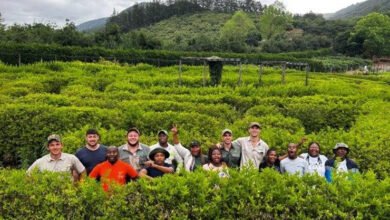 Naspers Labs-Backed SA Harvest Programme Empowers Youth With Agriculture Skills