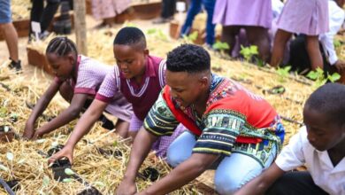 Absa Raises R1.5 Million For Sustainable Food Gardens