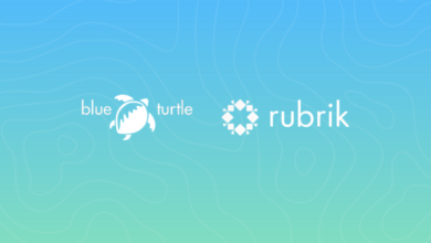 Blue Turtle Announces Strategic Investment In Rubrik Partnership