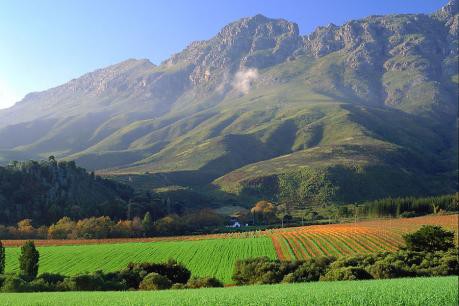 South Africa Wine Partners With Stellenbosch University