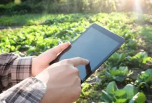 How IQ Logisitica Aims To Maintain The Human Element Of Agricultural Needs