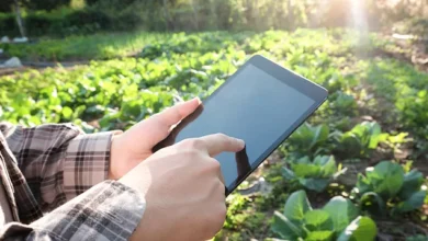 How IQ Logisitica Aims To Maintain The Human Element Of Agricultural Needs