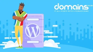 Domains.co.za Highlights The Benefits Of WordPress Hosting For Small Businesses