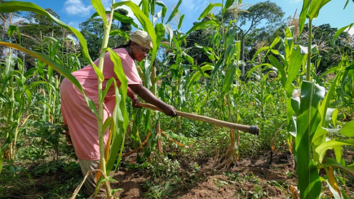 How Mercy’s Company Seeks To Empower Women Through Agriculture