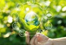 5 Benefits Of Of Embracing Sustainability As An SME