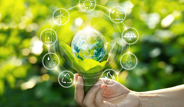 5 Benefits Of Of Embracing Sustainability As An SME