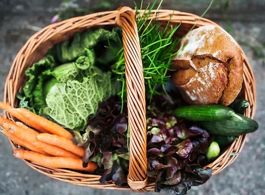 How Virgin City Fields Seeks To Provide Organic Food