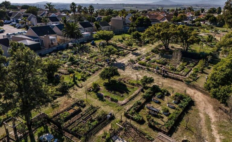 Shoprite Helps Brackenfell Community To Transform Park Into Food Garden