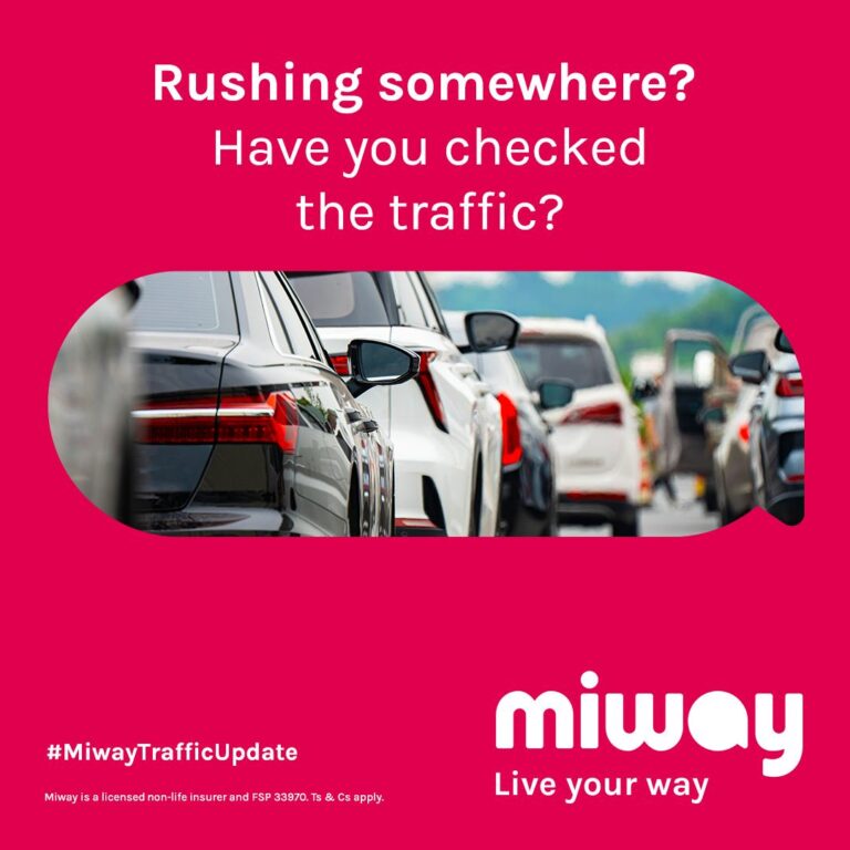 Miway How MiWay Insurance Disrupted South Africa's Insurance Industry with ...